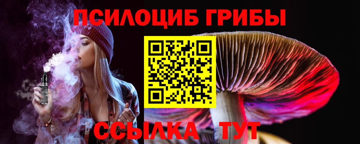 Псилоцибиновые грибы Cubensis Лянтор